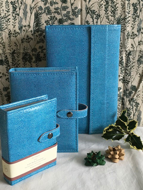 Blue-Lizard-Necklace,-Large--and-Small-Earring-Books