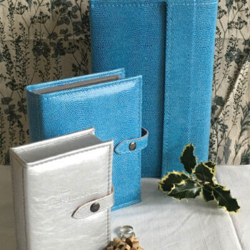 Blue Lizard Necklace and Earring book with Silver ring book Collection