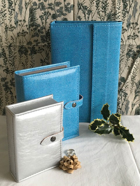 Blue-Lizard-Necklace-and-Earring-book-with-Silver-ring-book